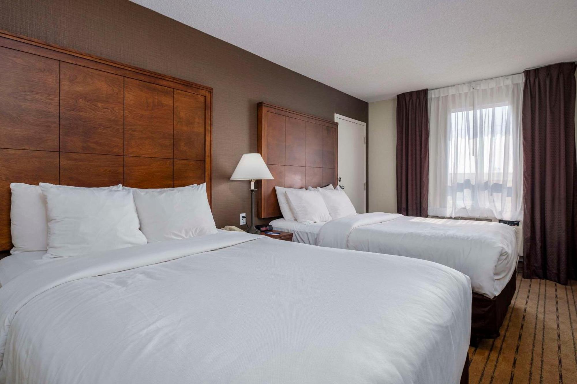 Comfort - Hotel Gander