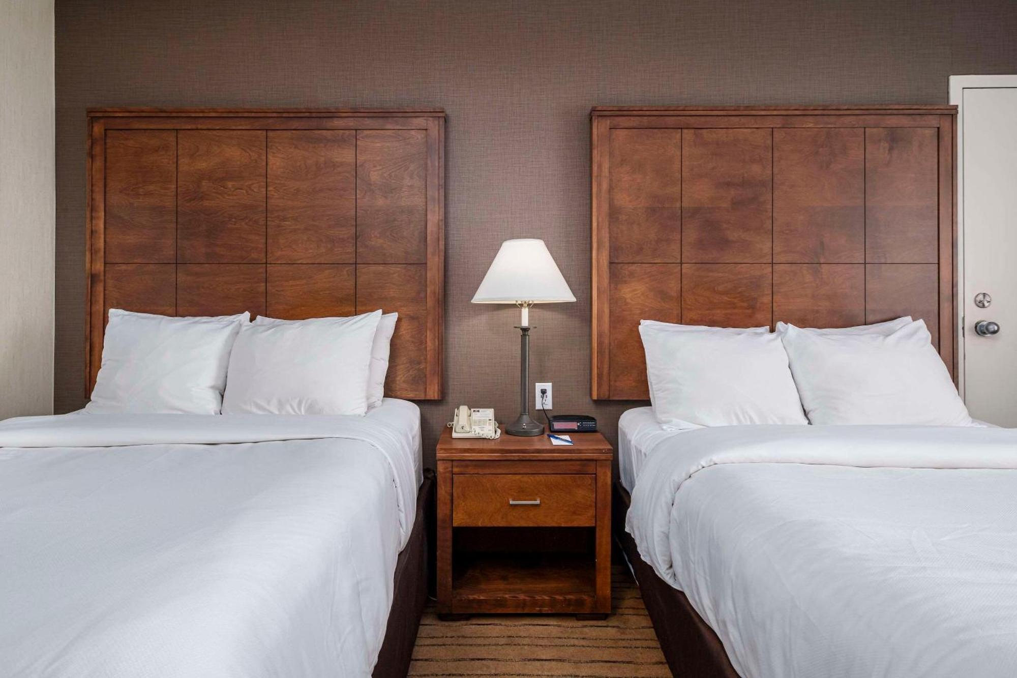 Hotel Comfort -