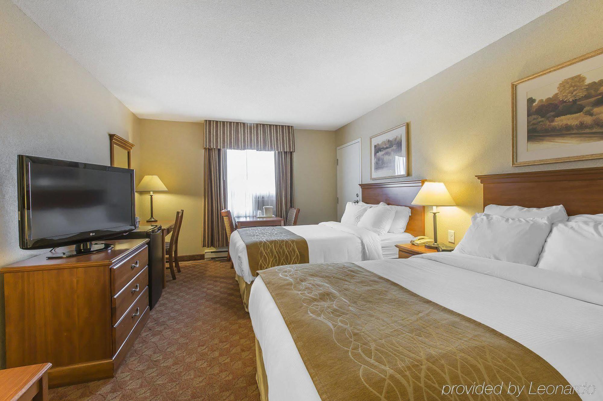 Comfort - Hotel