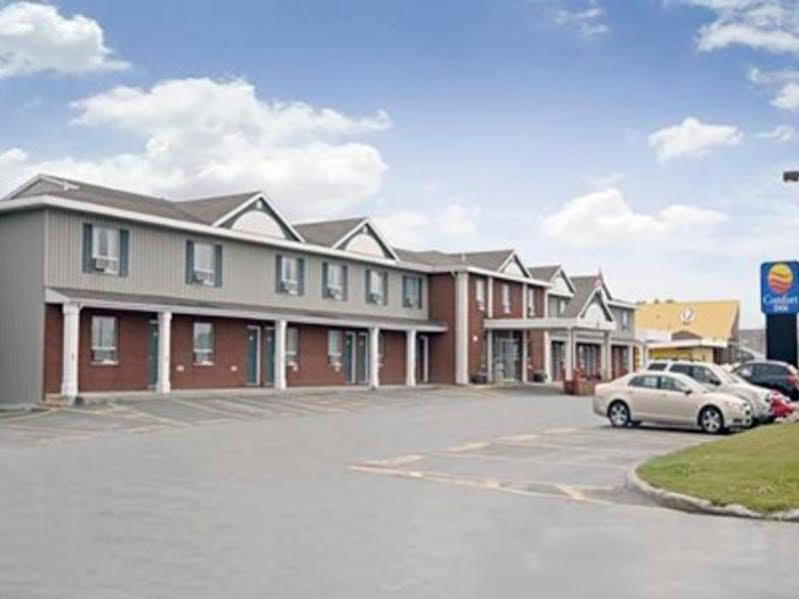 Comfort - Hotel Gander